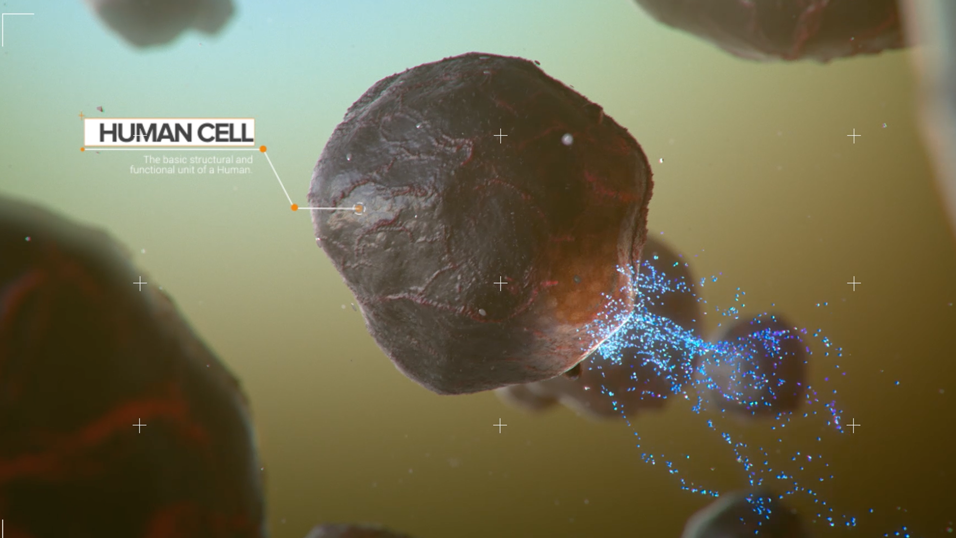 a group of packages of protein powder